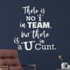There is no i in team